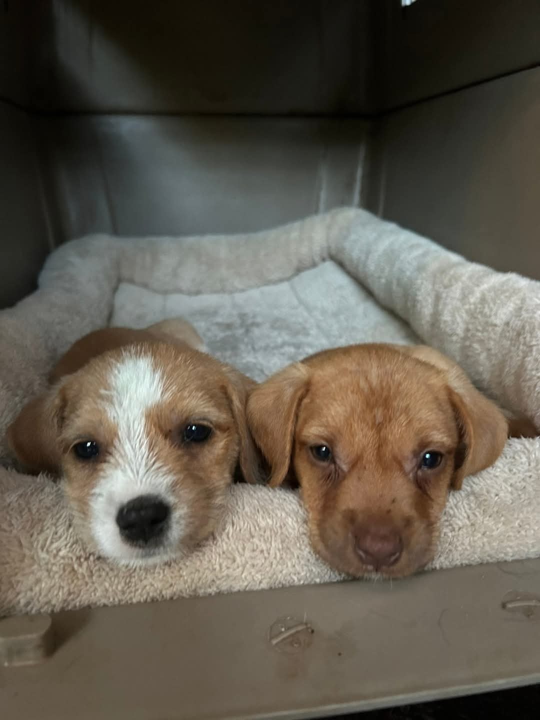 494784874-683518997805274-9034988048560563525-n